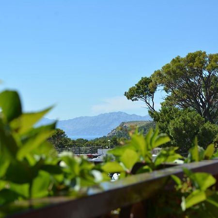 Rusendic Apartment Makarska Ngoại thất bức ảnh